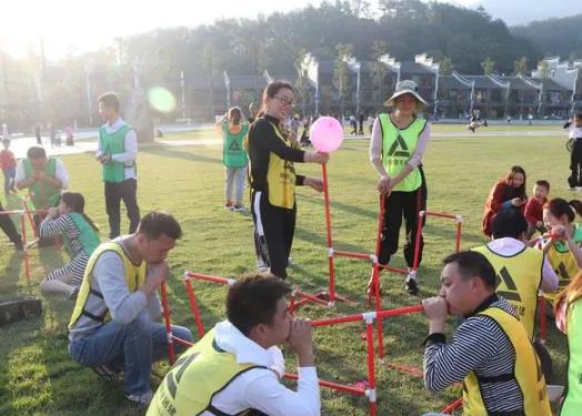 海阳五星级型户外企业培训